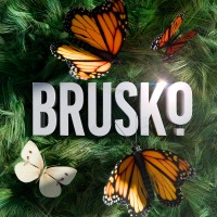 BRUSKO logo - Similar company to Total Flame