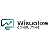 Wisualize Consulting logo - Similar company to Data Management Experts - Dme