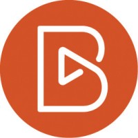 BicMedia logo - Similar company to Cavalry Consulting Llc