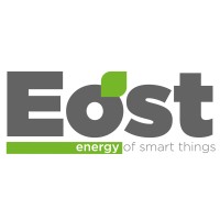 EOST - Energy Of Smart Things logo - Similar company to Phyo Srl - Digital Process / Microsoft Partner