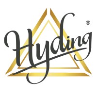 Hyding Lighting logo - Similar company to Vina Lighting
