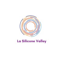 LE SILICONE VALLEY logo - Similar company to Acofo