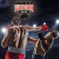 Gladiatoren aan de Maas logo - Similar company to Numa | Digital Consulting B.V.