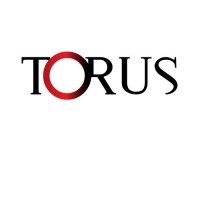 Torus Transforms logo - Similar company to Collegeease