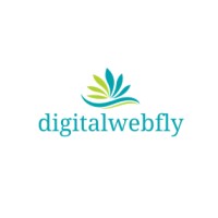 Digital Web Fly logo - Similar company to Cielo Fly