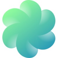 DD Solution logo - Similar company to Pando Infinity