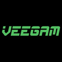 Veegam Software Pvt. Ltd. logo - Similar company to Vegam Solutions