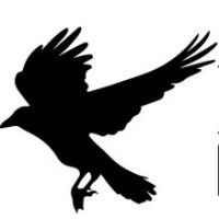 Blackbird Digital Holdings, LLC logo - Similar company to Phocaz Inc.