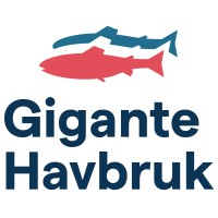 Gigante Havbruk AS logo - Similar company to Løvold
