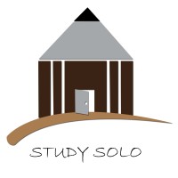 StudySolo Technologies Pvt. Ltd. logo - Similar company to Accountsight