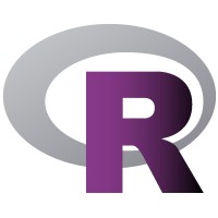 R-Ladies Santiago logo - Similar company to Datauc