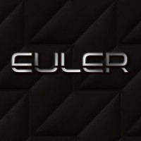 Euler_Aviation Luxury logo - Similar company to Espacio Euler