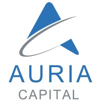 Auria Capital, Inc. logo - Similar company to Fieldstone