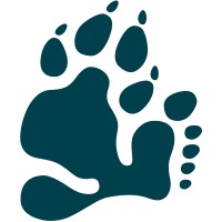 Wildfin logo - Similar company to Ocean Expeditions