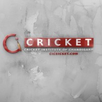 Cricket Institute of Chandigarh logo - Similar company to Advance Player Development, Apd