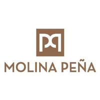 Molina Peña Consultores logo - Similar company to Bantrix