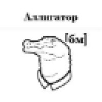 Аллигатор