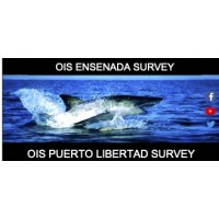 Ocean Integrated Solutions (OIS Survey) logo - Similar company to Trecig, Llc