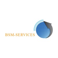 BSM-SERVICES 💡 logo - Similar company to Datawolf