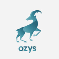 OZYS logo - Similar company to Nexclipper