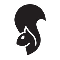 Black Squirrel Translator Collective