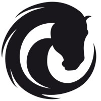 passion.4my.horse logo - Similar company to Equisoft Dac