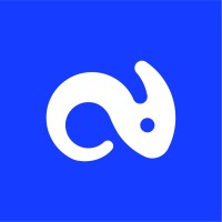 VISUWISU logo - Similar company to Summertime Flag