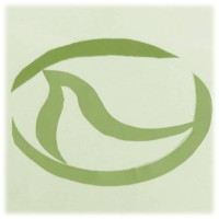 Noahgen logo - Similar company to Orphina Biotechnology