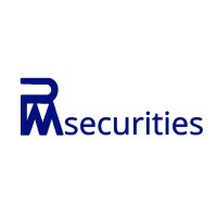 PM Securities logo - Similar company to Ns Software Systems