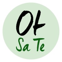 OTSATE logo - Similar company to Vespid