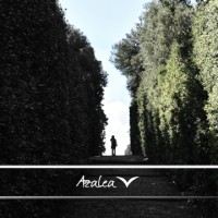 Azalea Group LTD logo - Similar company to The
