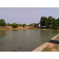 Waters of Pondicherry logo - Similar company to Startup Grind Pondicherry