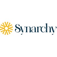Synarchy consulting logo - Similar company to Synarchy | The Fluid Factory