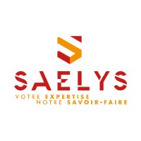 SAELYS logo - Similar company to Mingle Prod