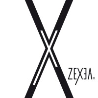 ZEXEA swimwear logo - Similar company to Anders Arens