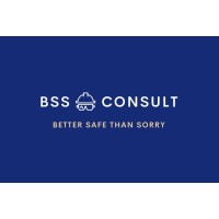 BSS Consult logo - Similar company to Bss Consulting
