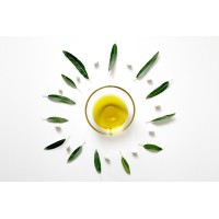 True Oil logo - Similar company to S. K. Solvent (I) Private Limited