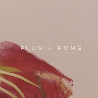 Plusia Roms logo - Similar company to Inglis Hall
