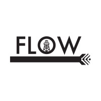 FLOW Partners logo - Similar company to Dvlup™ Inc (Acquired)