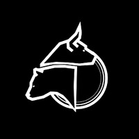 Maysure Financial Services logo - Similar company to Original Ltd