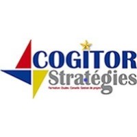 COGITOR STRATEGIES logo - Similar company to Cdk Consulting
