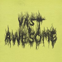 Vast & Awesome logo - Similar company to Five Sweden