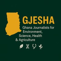GJESHA logo - Similar company to Kingdom Dynamics