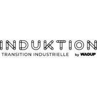 Induktion logo - Similar company to Bamo Mesures