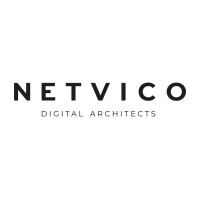 netvico GmbH - Digital Architects logo - Similar company to Cineview