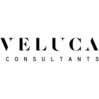 Veluca Consultants logo - Similar company to Secko