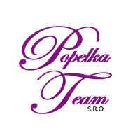 Popelka Team logo - Similar company to Design Trade Group