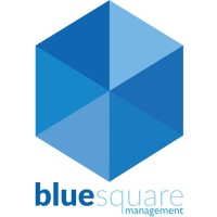 Blue Square Management - Digital Marketing Agency Providing Internet Marketing Service London & Kent logo - Similar company to Absolutely Write | Marketing Service