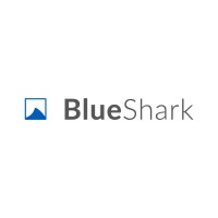 Blue Shark S.r.l. logo - Similar company to Blue Shark Software Solutions