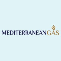 MEDITERRANEAN GAS S.A. logo - Similar company to Fluidynamix Engineering Solutions Lda